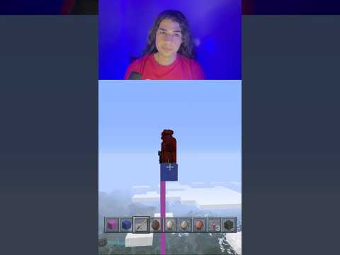 EPIC Minecraft shizo in 15 seconds!