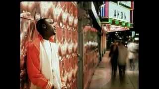Akon FT Ray J Falling In Love Official Video