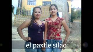 siempre contigo los tucanes de tijuana