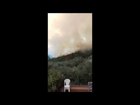 Incendio Argentario - video di Renzo Berogna