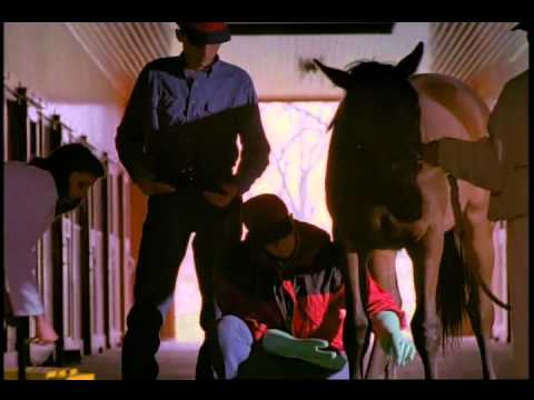 Jimmy Collins - Early Times - Turf Classic