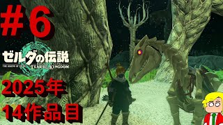 【NintendoSwitch2Edition】翔ける、創る、紡ぐ。果てなき冒険は、大空へ広がる。#6【ゼルダの伝説 ティアーズ オブ ザ キングダム】