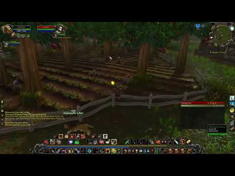 Wow Classic - Open world PvP, Hunter Twink