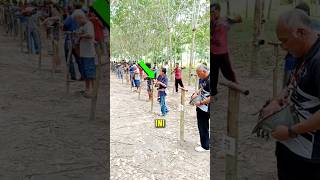 Download lagu Rooster Competition in Thailand❗🐓😮 #shorts #shortvideo mp3