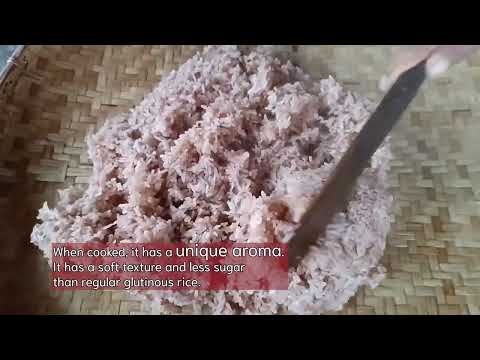 Mueang Loei red glutinous rice of Thailand has been registered as a GI, ranked 196th