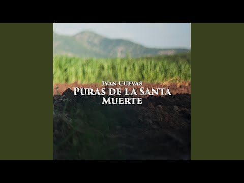 la Santa Muerte en banda (2025 Remastered Version)