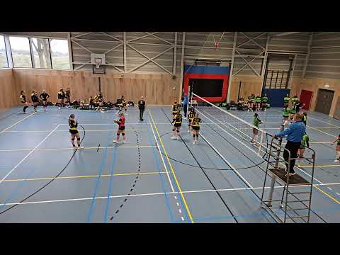 Morgana DVO - Simplex/SSS DS1