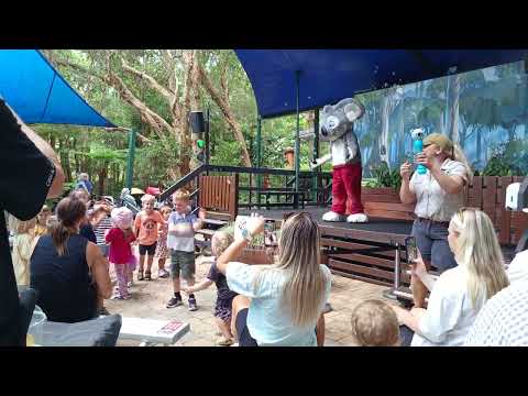 Blinky Bill Show|Bubbles Song|Currumbin Wildlife Sanctuary|QLD