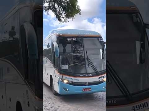 G7 Entram - SÃO PAULO - SP x PIRITIBA - BA #brasil #onibus #urbano #bus #shorts #bahia #rodoviario