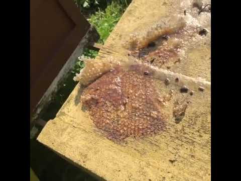 Пчеловодство.Самоделки и пчеловодство.Простые металлические скрепы держатели для ППУ крыш из стали