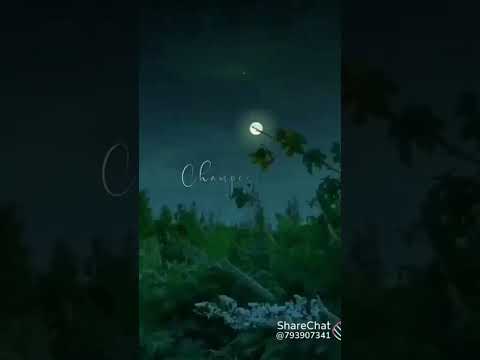 🤞 full love #umasri