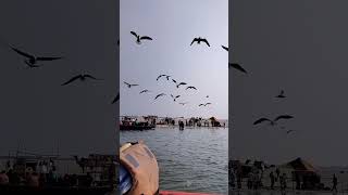 #Boating in #Ganga #River _ गंगा घाट दर्शन _ Part-2