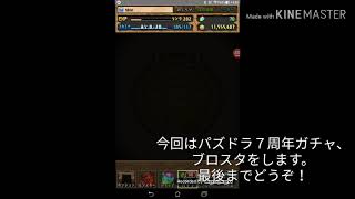 【初投稿】パズドラとブロスタを字幕実況！【いう】
