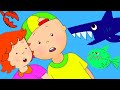 Caillou And The Sea Animals Funny Animated Caillou Cartoons For Kids Caillou