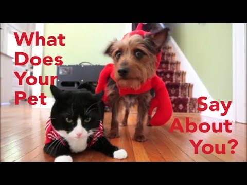 Cat People VS Dog Lovers: Your Pets Say A Lot About Your Personality