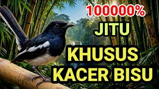 Download lagu PANCINGAN KHUSUS KACER BISU MACET BUNYI GACOR NGEPLONG BUKOR KONSLET COCOK UNTUK KACER MUDA & BAHAN mp3