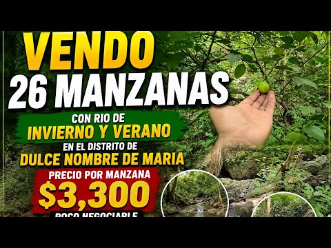 GANGAA!!🥳  $3,300 POR MANZANA EN DULCE NOMBRE DE MARIA CHALATENANGO AREA TOTALMENTE RÚSTICA 