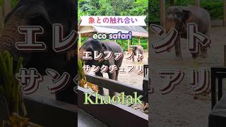 カオラックでゾウさんと遊ぶ。エレファントサンクチュアリー。カオラックホテルから送迎付きです！日本語でlineチャットでご予約受付中です！ #カオラック #旅行