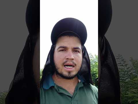 3 fontes de renda para sitio pequeno