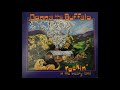 Donna The Buffalo  - Seminole Wind
