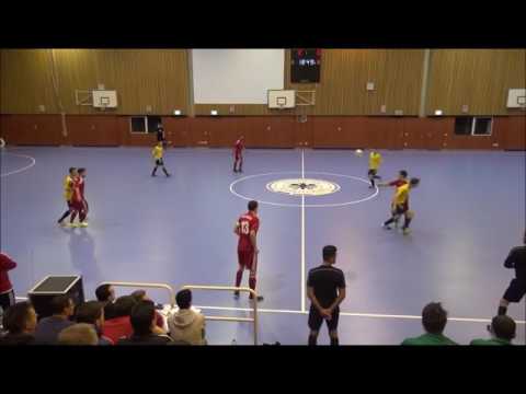 Tore des FLVW beim Ländervergleich 2017