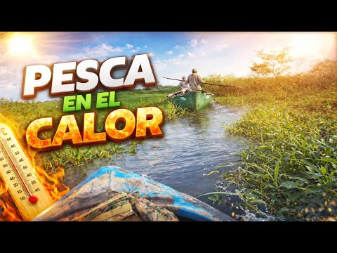 PRIMERA PESCA DE AÑO NATURALEZA, PESCA Y AMIGOS EN SANTA FE
