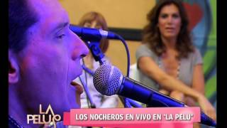 La Pelu - Entre la Tierra y el Cielo - Los Nocheros