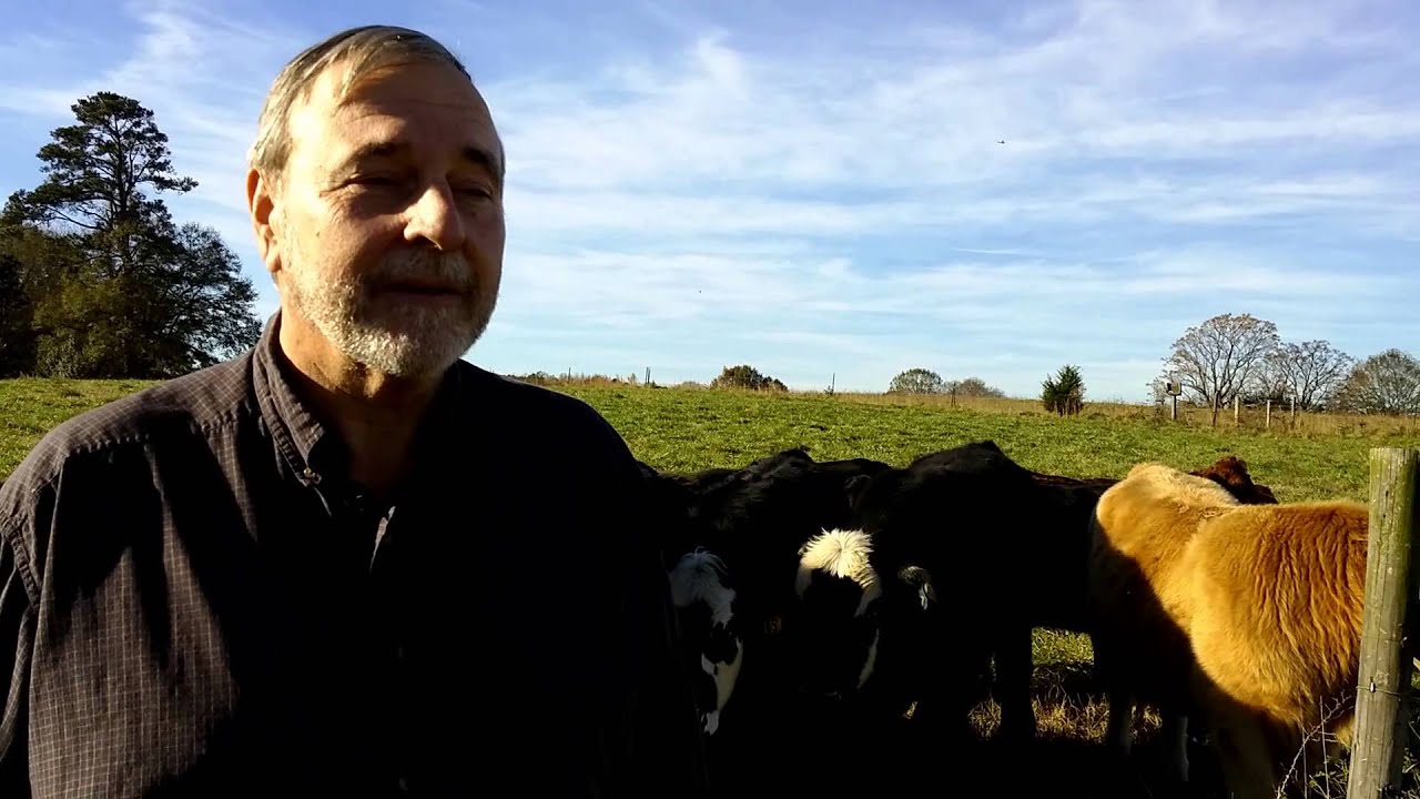 Up to 73% increase in yield with Mycorr Plus A