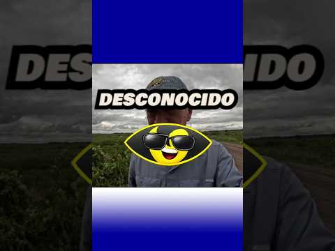 El ORÍGEN del río Empedrado explicado desde el Estero Longaniza 🌿🌊