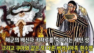 [원피스 1100화 심층분석] 해군의 배신자 키자루를 죽이려는 세턴 성 그리고 쿠마와 같은 또 다른 버커니아족 흰수염
