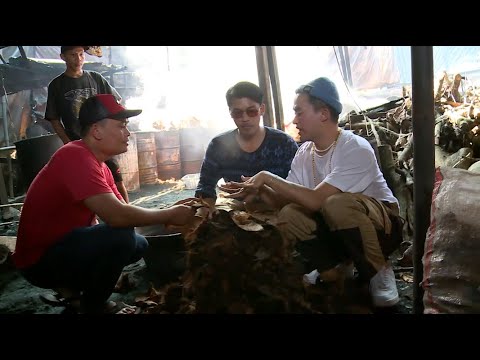 Disuruh Ngupas Batok Kelapa, Anwar Pamer Tangannya Abis Perawatan (2/4) - SIAP BOS!!!