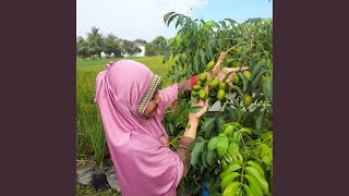 Download lagu Cinta Walau Beda Pendapat mp3