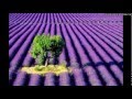Antonio Vivaldi - Nulla In Mundo Pax Sincera 