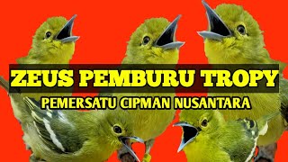 Download lagu ZEUS PEMERSATU CIPMAN‼️cipow zeus gacor di suasana gantangan tampil selalu dengan gaya berdiri mp3