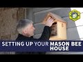 Setting Up Your Mason Bee House Setting Up Your Mason Bee House