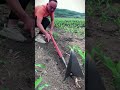 Triangular Pointed Tip Hoe Satisfying Short