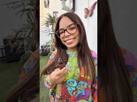 CUCARACHA EN LA COMIDA