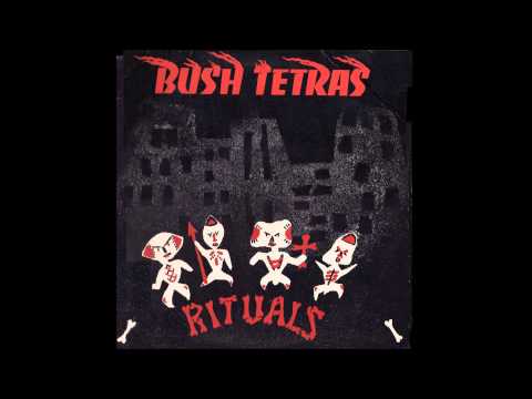 Bush Tetras - Cowboys In Africa