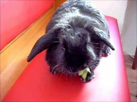 Happy Birthday Dori!