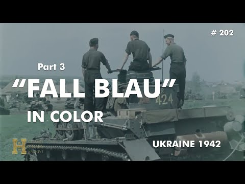 202 #Ukraine #Russia 1942 ▶ Fall Blau Color (3) 14. Panzer-Division / Pz-Regiment 36 (July) Donez