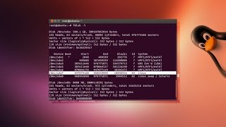 Make The Terminal Open At A Specific Directory in Ubuntu/Linux Mint