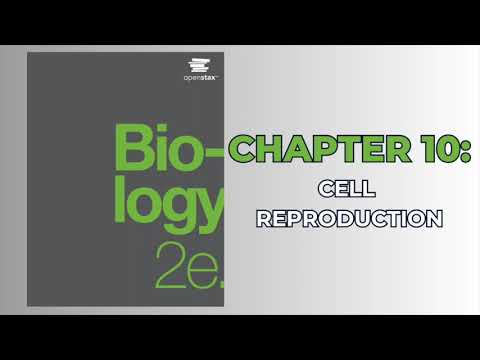 OpenStax Biology 2e (Audiobook) - Chapter 10: Cell Reproduction