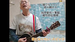 猫になりたい/スピッツ（ギター弾き語り）
