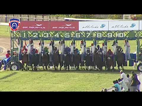 RM38 R7 | Bonjour Baby | R.Fradd