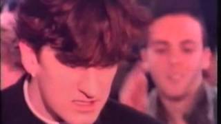 011-BLUEBELLS, THE - All I Am Is Loving You Baby (1985)