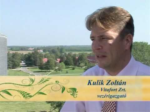 Lipard Film - Vitafort Ipari Film 2/1