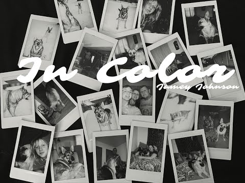 Jamey Johnson - In Color Cover