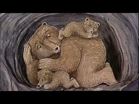 Wo Schlafen Bärenkinder - Misc Children