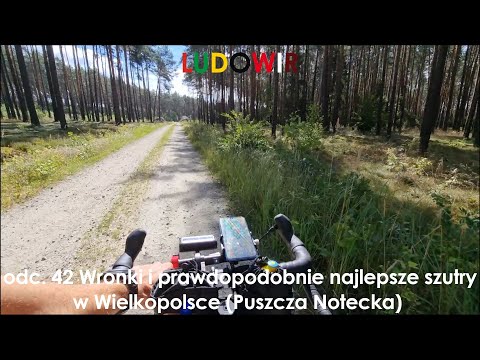 LUDOWIR - ep. 42 Wronki and probably the best gravel roads in Greater Poland (Noteć Forest)