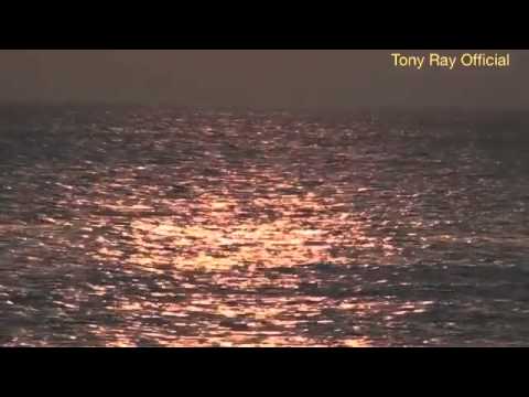 Tony Ray feat. MC Robinho - SO HIGH (don marsele)